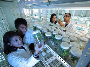 Science Laboratory 在线电话轰炸网页版